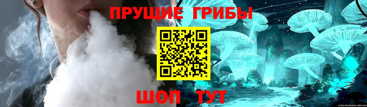 Псилоцибиновые грибы GOLDEN TEACHER  Галлюциногенные грибы MAGIC MUSHROOMS  Вход с VPN  Бугуруслан 